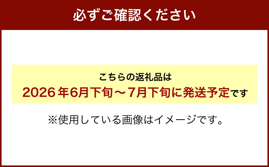 北海道産 北斗メロン「赤肉メロン」〈LLサイズ〉2玉（優品以上／2玉で約4kg）