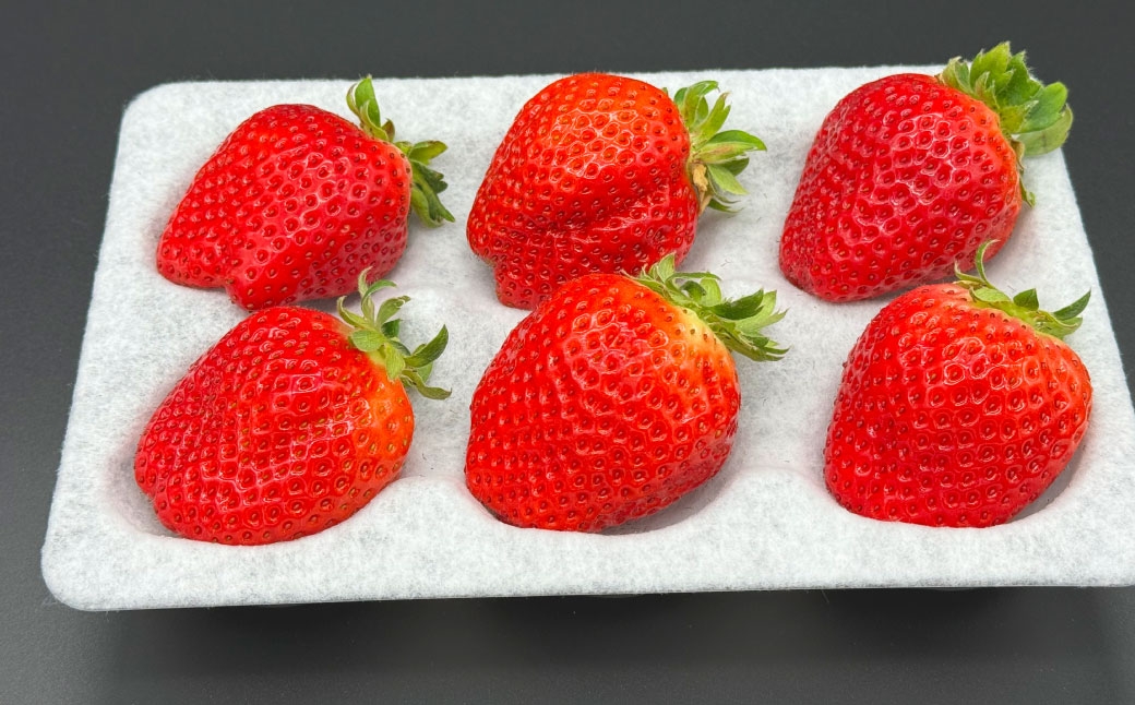 いちご 「 さちのか 」 約500g（500g×1箱）