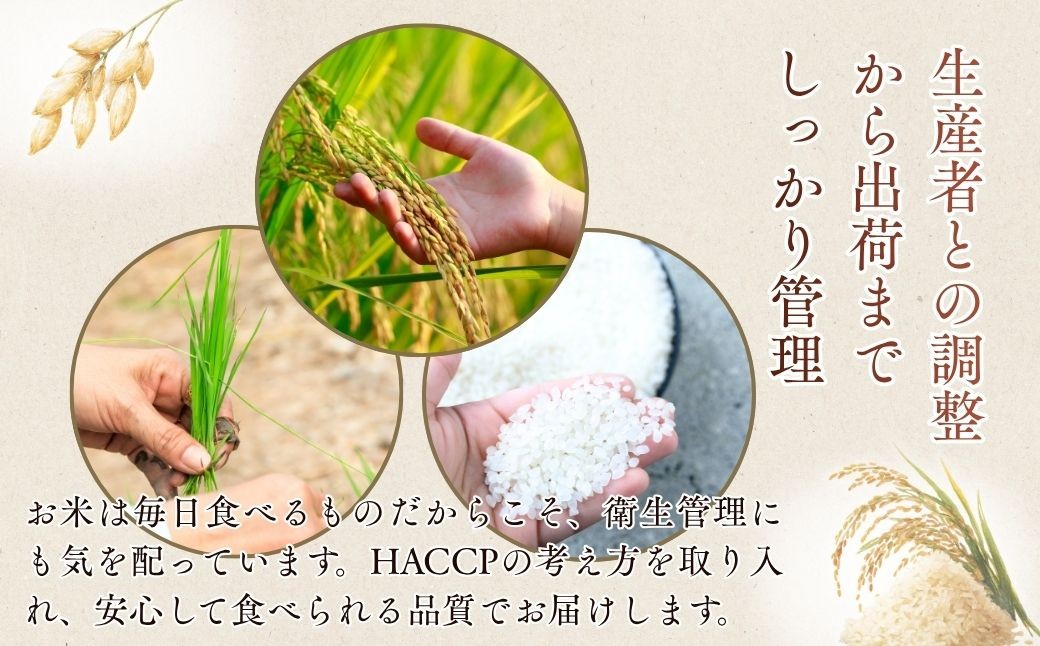 お米 米 こめ コメ 白米 精米 にじのきらめき ニジノキラメキ