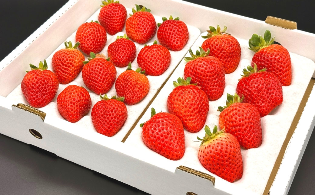 いちご 「 さちのか 」 約1kg（500g×2箱）