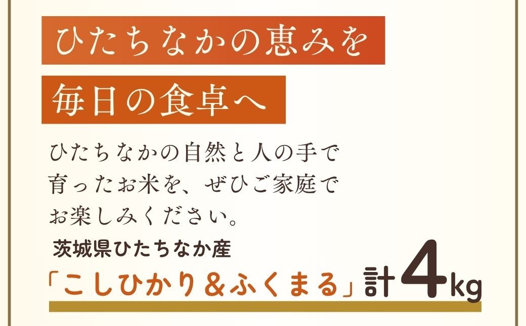 こしひかり コシヒカリ ごはん ご飯 ライス ふくまる フクマル お米 米 こめ コメ 白米 精米