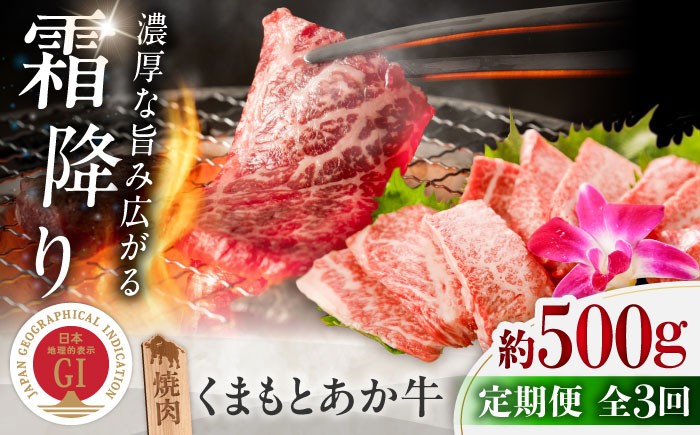 霜降り 高品質 あか牛 牛肉 niku あかうし 赤牛 ブランド 旨み 熊本 菊陽 冷凍 やきにく ブランド牛 肉 500 定期