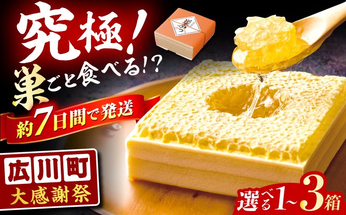 国産巣みつ 300g 蜂蜜 はちみつ ハチミツ