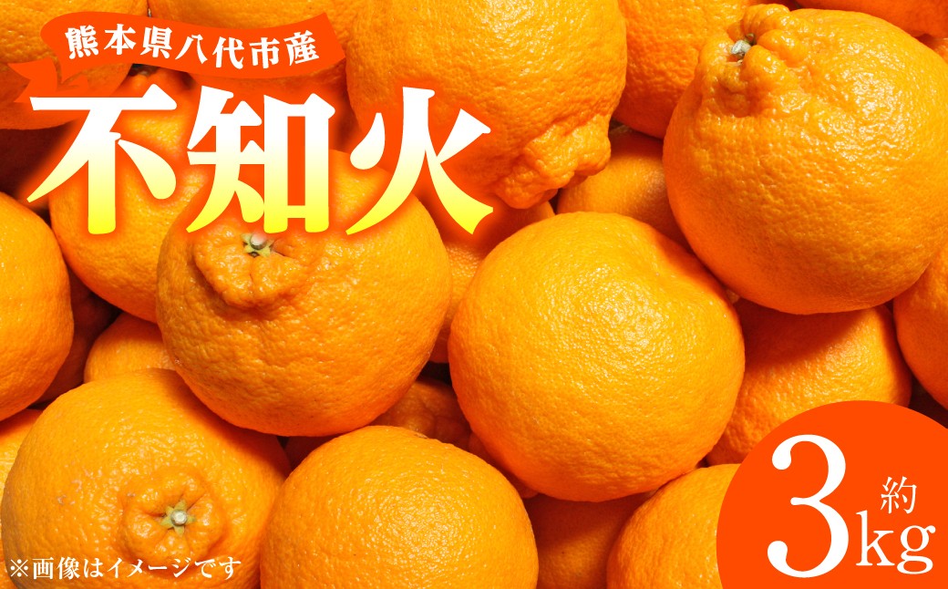  不知火 約3kg