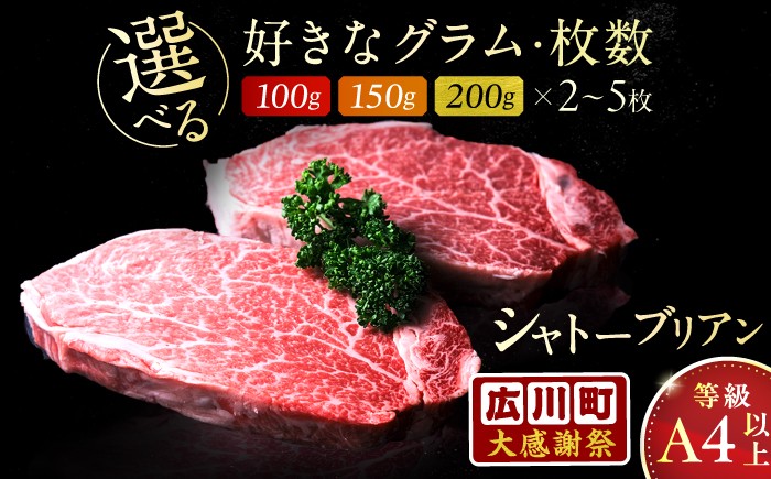 博多和牛 シャトーブリアン ステーキ ヒレ 福岡県産 希少部位