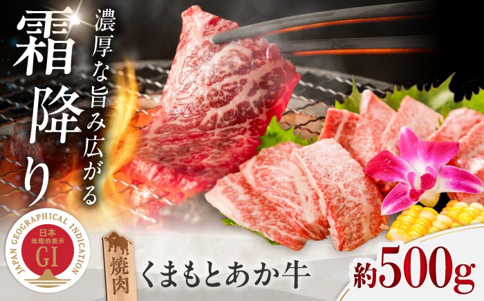 霜降り 高品質 あか牛 牛肉 niku あかうし 赤牛 ブランド 旨み  熊本県 菊陽町 冷凍 やきにく ブランド牛 肉 500