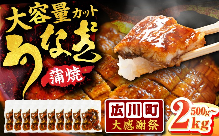 うなぎ ウナギ 鰻 パック 小分け 1キロ