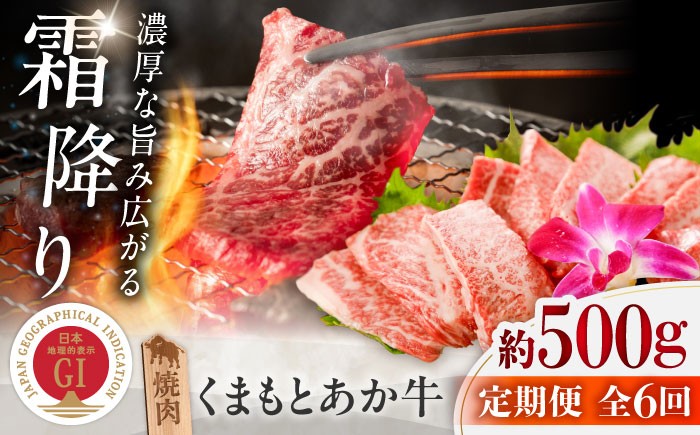 霜降り 高品質 あか牛 牛肉 niku あかうし 赤牛 ブランド 旨み 熊本県 菊陽町 冷凍 ブランド牛 肉 500 定期