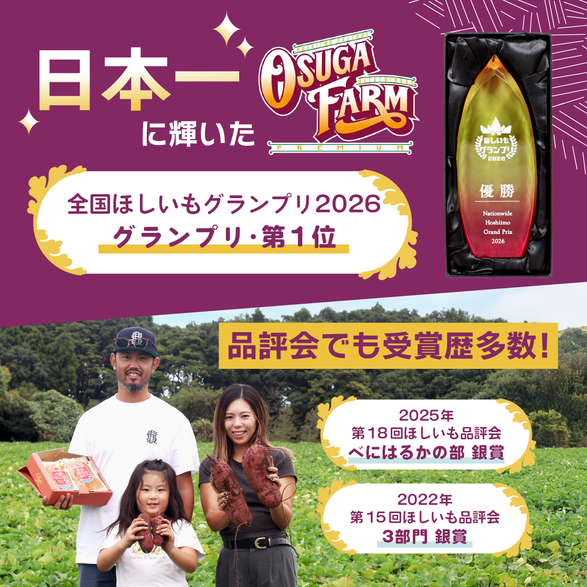 干し芋 グランプリ 日本一 金賞 受賞 茨城 ほしいも 干しいも 小分け 紅はるか べにはるか さつまいも 平干し 丸干し