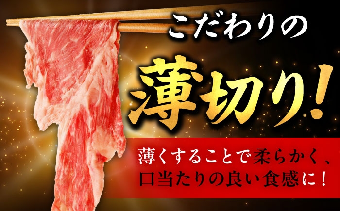 佐賀牛 切り落とし 400g × 2パック 計 800g | 牛肉 小分け 佐賀牛 切り落とし |
