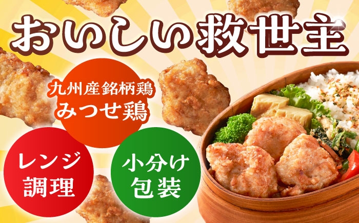 チキン 鶏肉 鶏 おかず 簡単 から揚げ 唐揚げ 国産 みつせ鶏 加工品 弁当 冷凍 おつまみ 肉 小分け  塩麹 こうじ