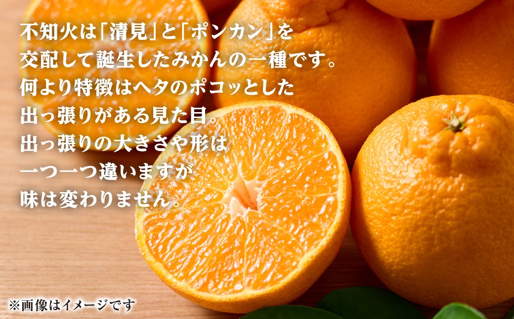 不知火は「清美」と「ポンカン」を交配して誕生したみかんの一種です