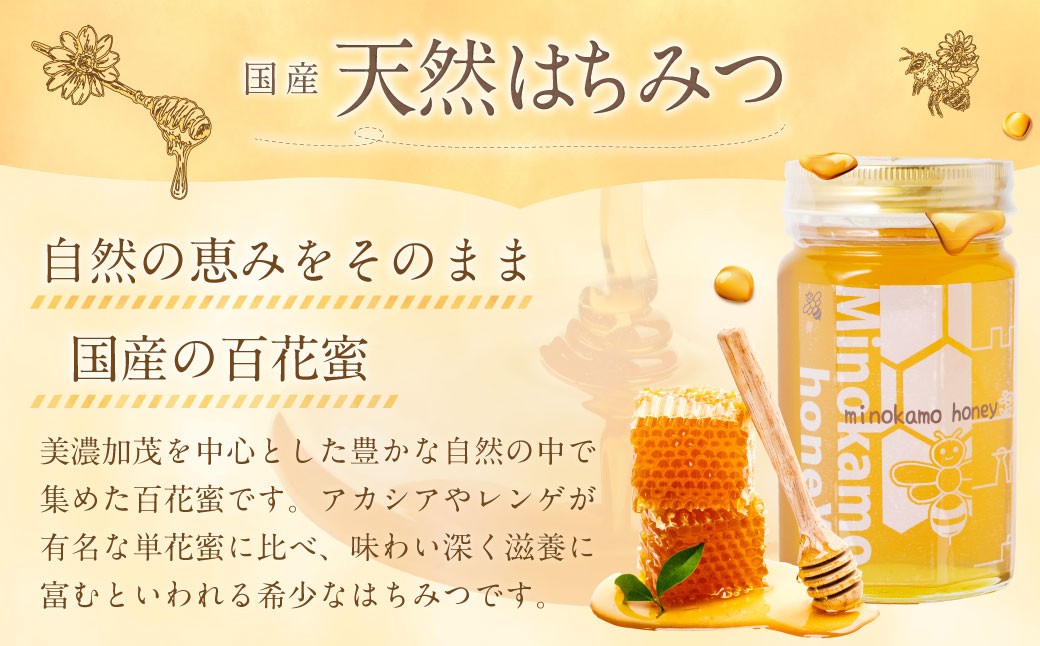 【12ヶ月定期便】国産 無添加 純粋 100％天然 MINOKAMO HONEY はちみつ 1本 （ 500g ）