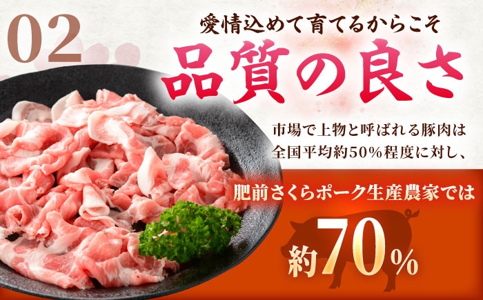 肥前さくらポーク 切り落とし 500g × 2パック 計 1kg  | 豚肉 肥前さくらポーク 切り落とし 国産 豚 小分け|