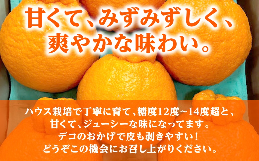 甘くて、みずみずしく、爽やかな味わい