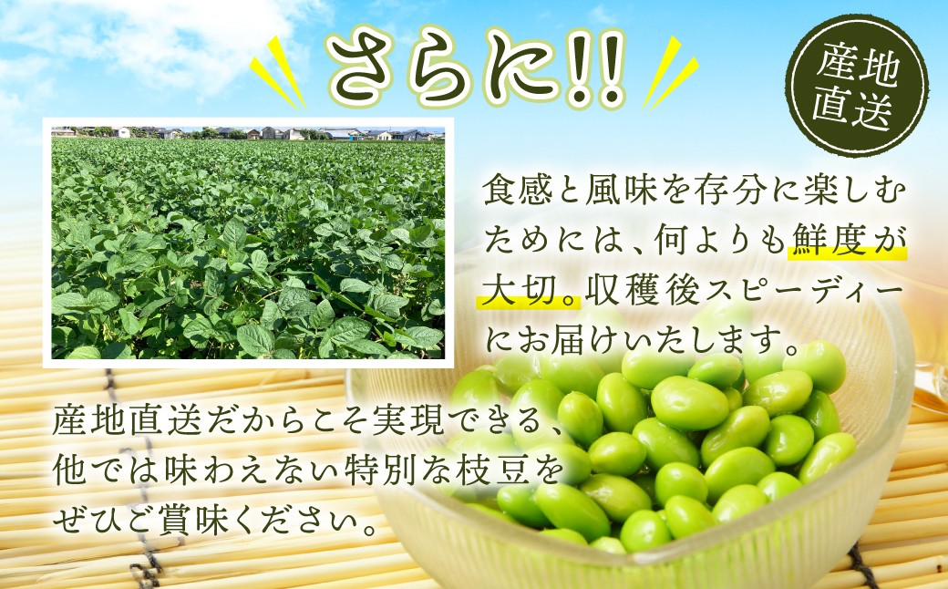 産地直送だからこそ実現できる、他では味わえない特別な枝豆をぜひご賞味ください