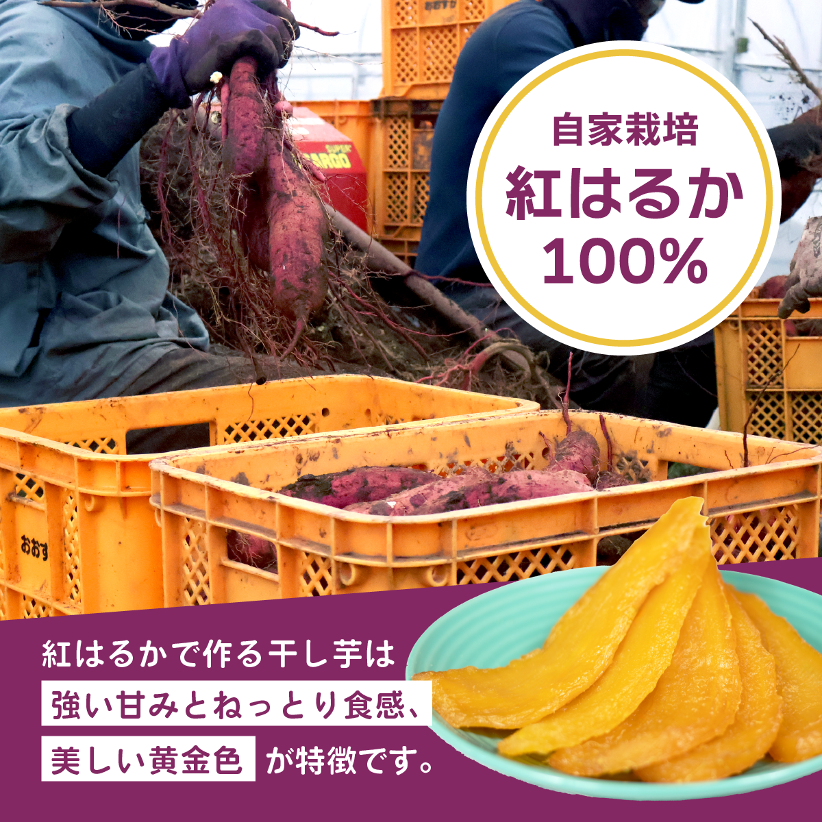 干し芋 グランプリ 日本一 金賞 受賞 茨城 ほしいも 干しいも 小分け 紅はるか べにはるか さつまいも 平干し 丸干し