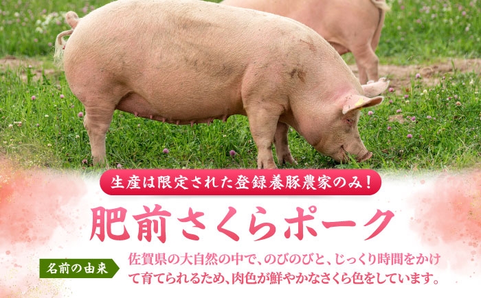 肥前さくらポーク 切り落とし 500g × 2パック 計 1kg  | 豚肉 肥前さくらポーク 切り落とし 国産 豚 小分け|