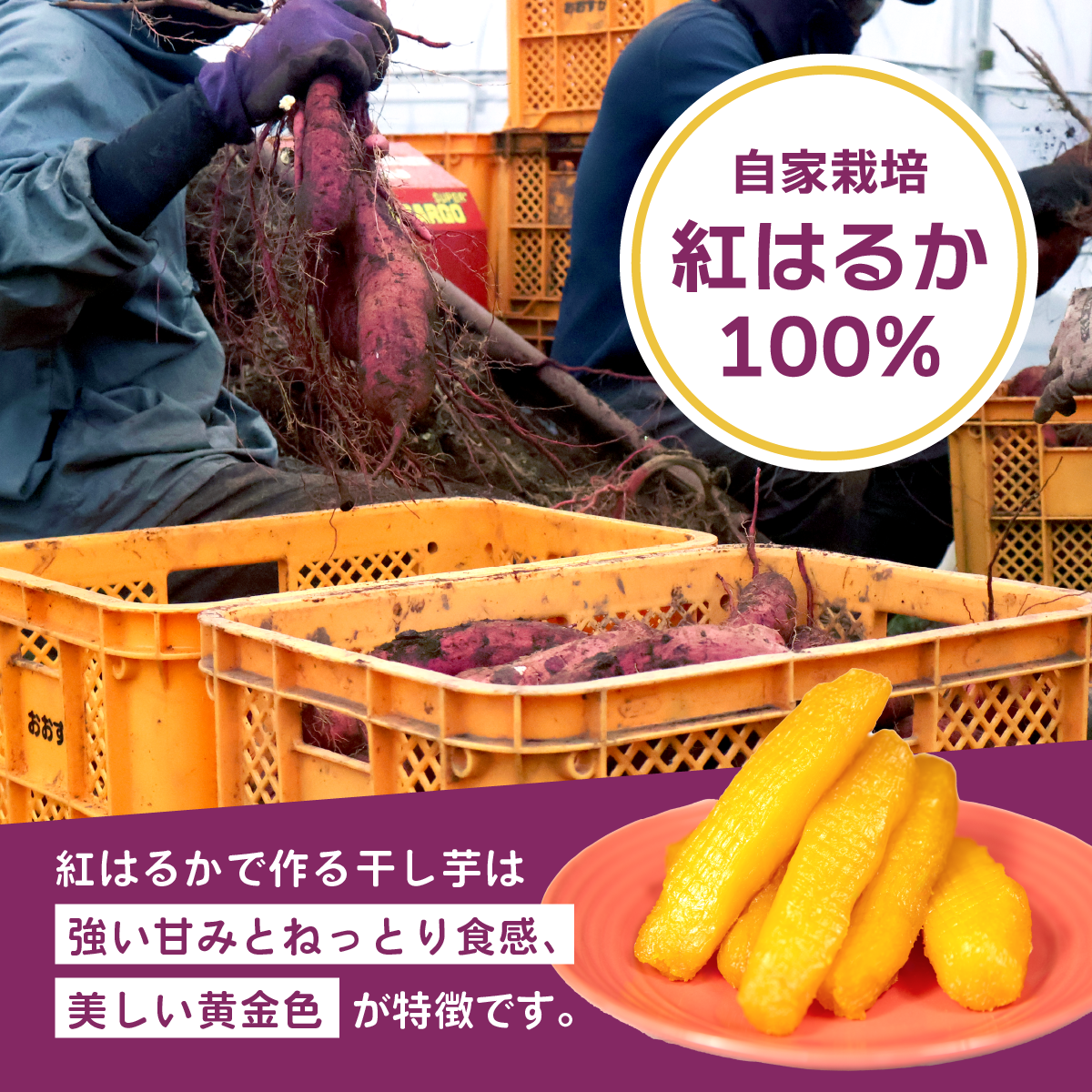  ほしいも 干しいも 小分け 紅はるか べにはるか さつまいも  丸干し