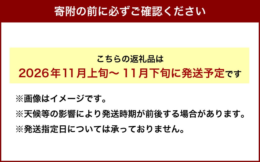 北海道深川市産 ねばり長いも 約5kg