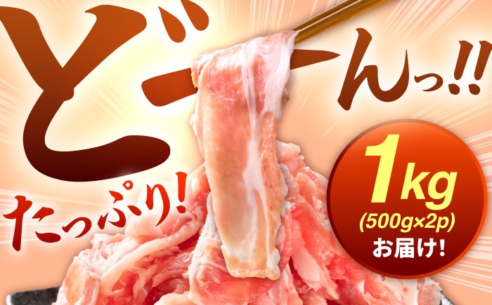 肥前さくらポーク 切り落とし 500g × 2パック 計 1kg  | 豚肉 肥前さくらポーク 切り落とし 国産 豚 小分け|