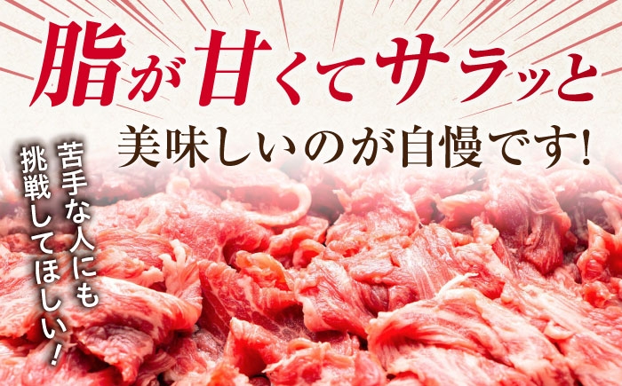 訳あり 不揃い ふぞろい 部位おまかせ 佐賀牛 牛肉 肉 カレー すき焼き シチュー しゃぶしゃぶ 肩 バラ 国産牛 黒毛和牛