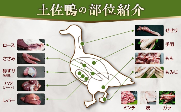 土佐鴨 セセリ (フレッシュ冷蔵) 約1kg 土佐鴨 土佐ジロー飼育研究会  [ATAC588]