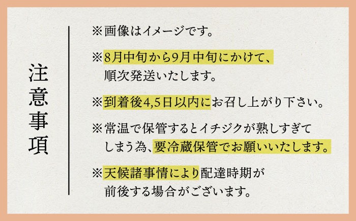 果物 くだもの いちじく イチジク
