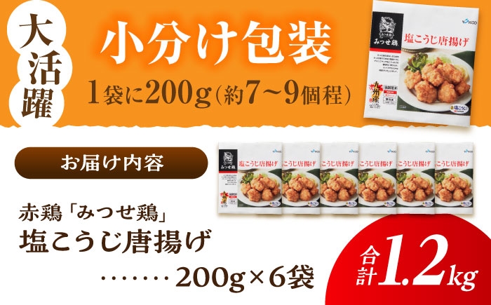 チキン 鶏肉 鶏 おかず 簡単 から揚げ 唐揚げ 国産 みつせ鶏 加工品 弁当 冷凍 おつまみ 肉 小分け  塩麹 こうじ