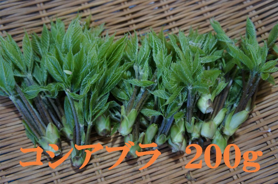 ※画像はイメージです。