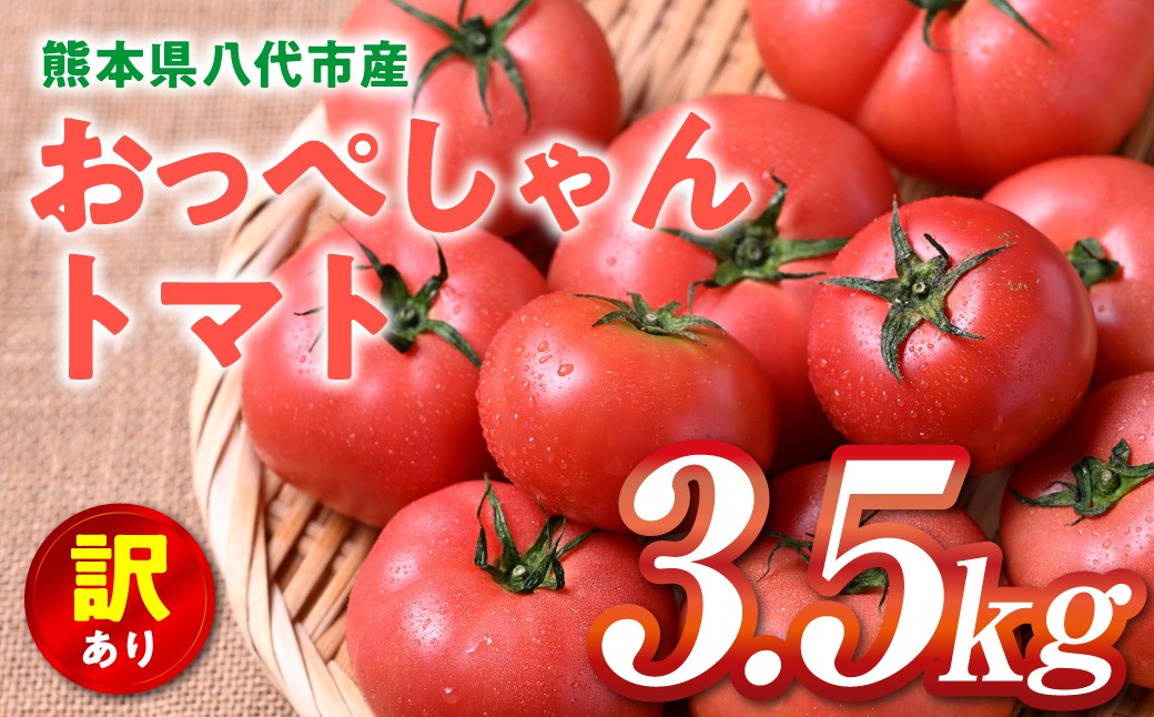 熊本県八代市産 訳あり おっぺしゃんトマト3.5kg