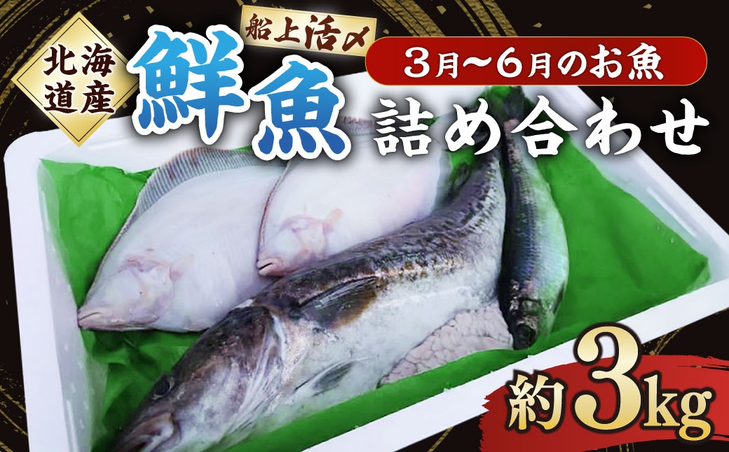 北海道産 船上活〆鮮魚詰め合わせ約3kg