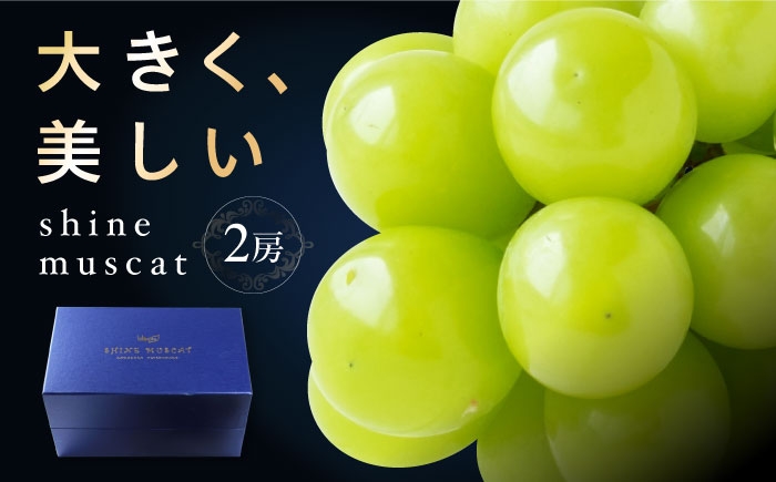 シャインマスカット しゃいんますかっと シャイン マスカット ますかっと Shine Muscat 2房 葡萄 ブドウ ぶどう