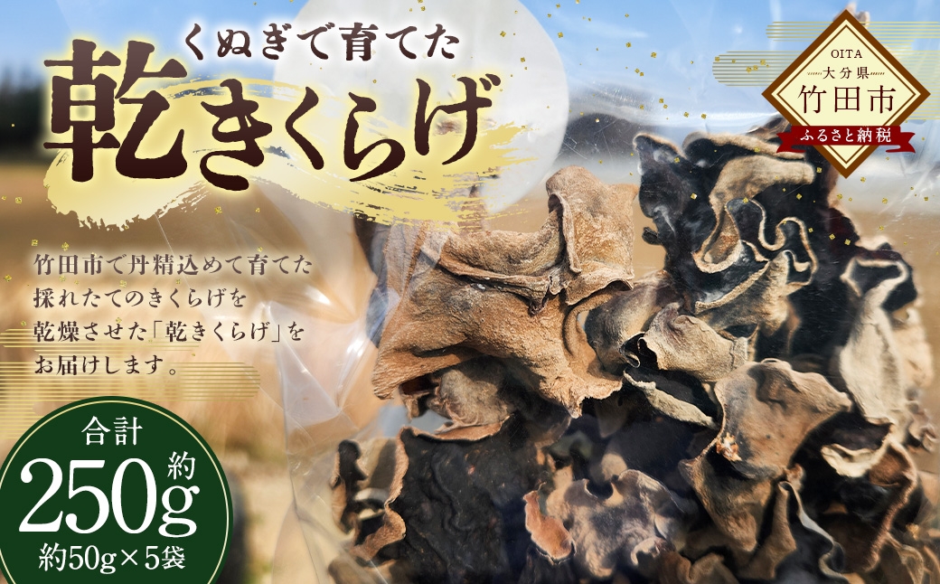 くぬぎで育てた乾きくらげ