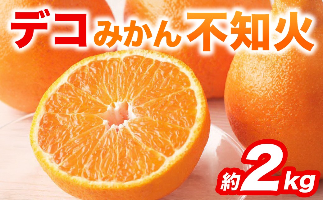 不知火 デコみかん (デコポン同品種) 約2kg (5～9玉)