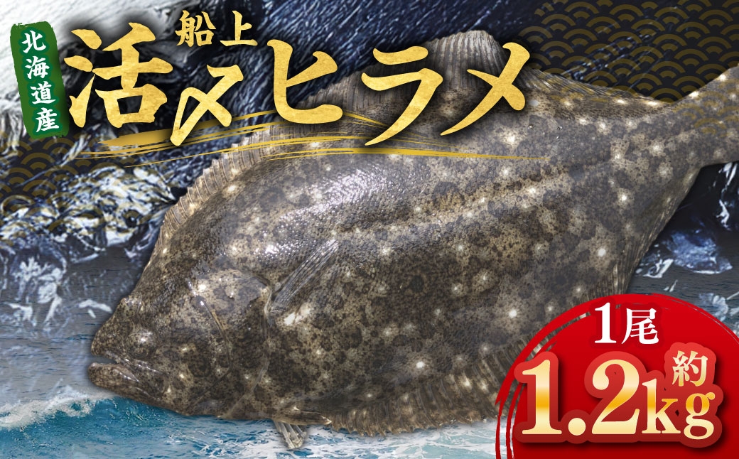 北海道産 船上活〆ヒラメ 約1.2kg