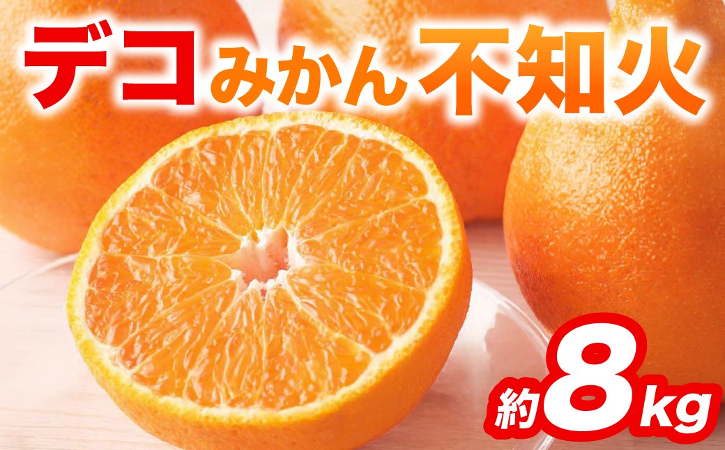 不知火 デコみかん (デコポン同品種) 約8kg (18～37玉)