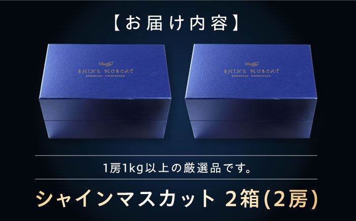 シャインマスカット しゃいんますかっと シャイン マスカット ますかっと Shine Muscat 2房 葡萄 ブドウ ぶどう