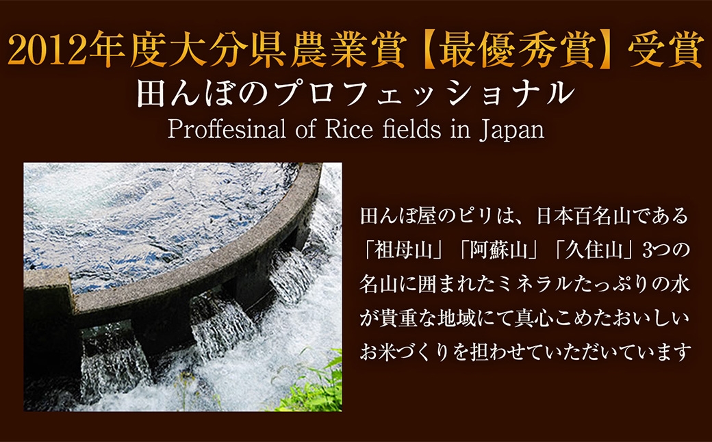 ヒノヒカリ なつほのか 2種セット 各5kg 計10kg