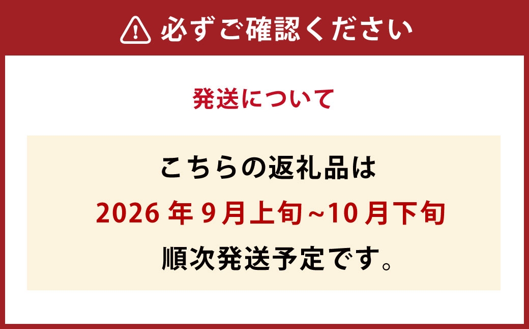 北海道産 船上活〆サケメス 約2.5kg