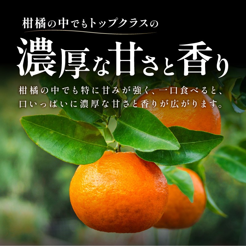 【2027年発送 先行予約品】