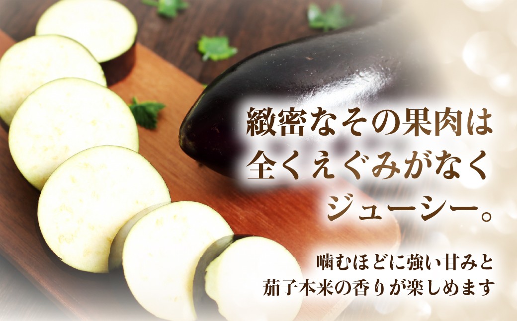 甘味の詰まった、つやつや輝くなす