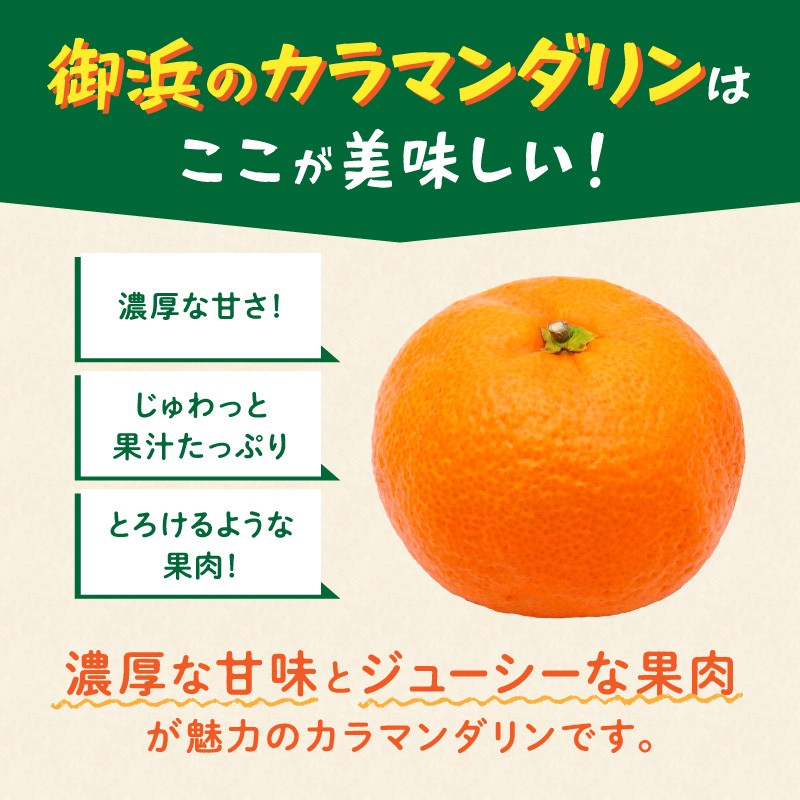 【2027年発送 先行予約品】