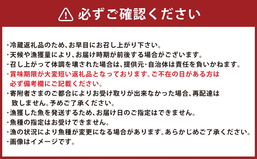 北海道産 船上活〆鮮魚詰め合わせ約3kg