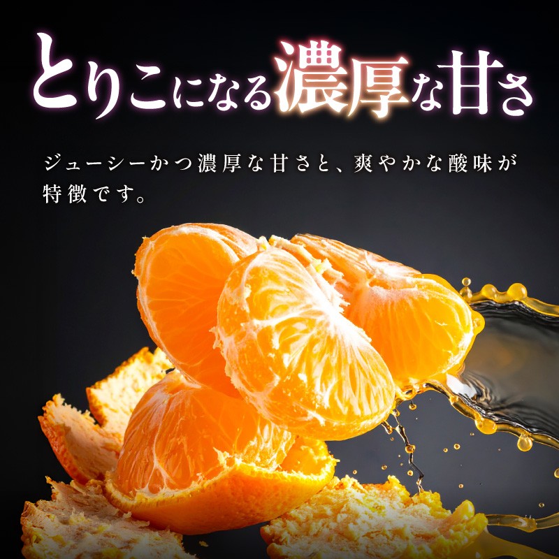 【2027年発送 先行予約品】