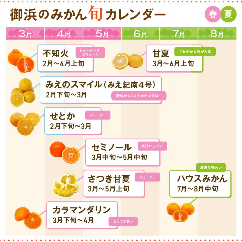 【2027年発送 先行予約品】