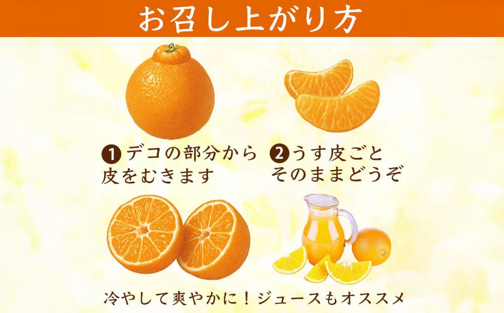 お召し上がり方