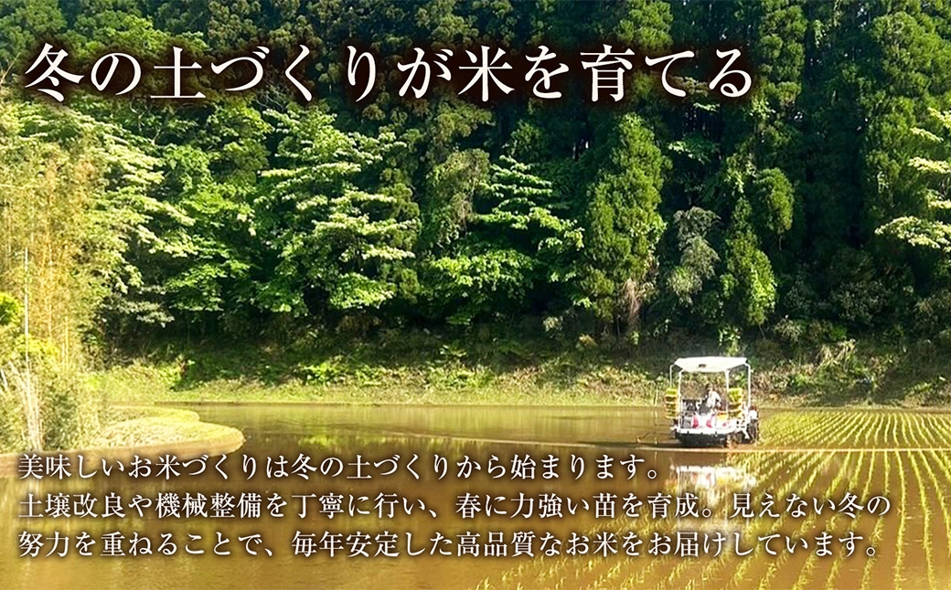 コシヒカリ×つや姫 2種米セット