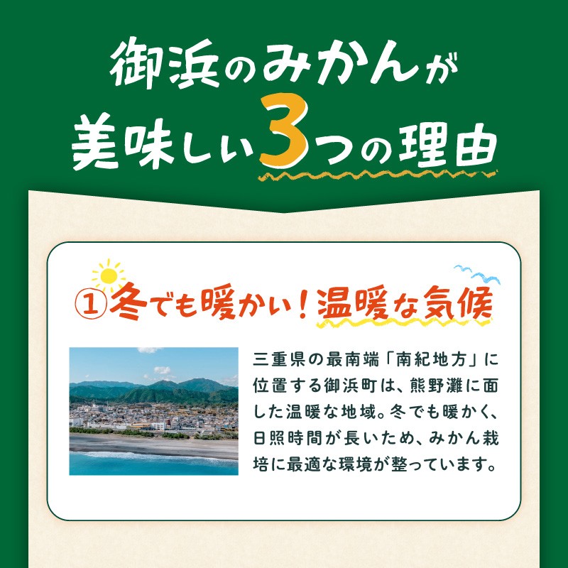 【2027年発送 先行予約品】