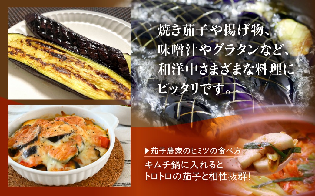 甘味の詰まった、つやつや輝くなす